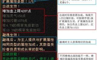 天龙八部怀旧服天山魂融合哪个小孩最实用，天龙八部怀旧服天山魂融合实用宠物！