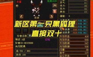 天龙八部私服网络设备详情： _Skills_Strategy_Activity