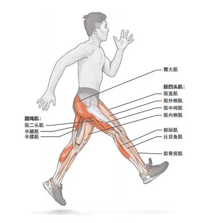 最后是轩才，简称“XC”。玄才的职业特点是动作灵活、爆发力高，是队伍中的移动出线选手。炫彩玩家平时擅长高爆技能，快速击败敌人，展现出惊人的个人战斗能力。-第1张图片-天龙八部发布网,天龙八部私服发布网